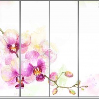 Фотопечать на шкаф купе цветы 351