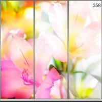 Фотопечать на шкаф купе цветы 358