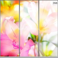 Фотопечать на шкаф купе цветы 358