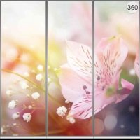 Фотопечать на шкаф купе цветы 360