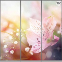 Фотопечать на шкаф купе цветы 360