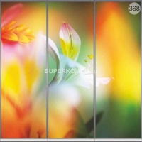 Фотопечать на шкаф купе цветы 368