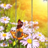 Фотопечать на шкаф купе цветы 376