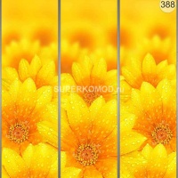 Фотопечать на шкаф купе цветы 388
