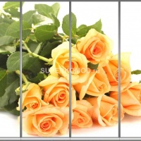 Фотопечать на шкаф купе цветы 389