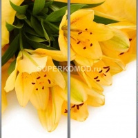 Фотопечать на шкаф купе цветы 391