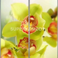 Фотопечать на шкаф купе цветы 393