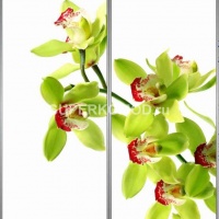 Фотопечать на шкаф купе цветы 395