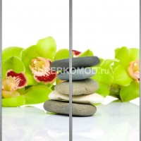 Фотопечать на шкаф купе цветы 397