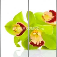 Фотопечать на шкаф купе цветы 398