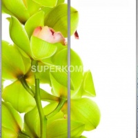 Фотопечать на шкаф купе цветы 399