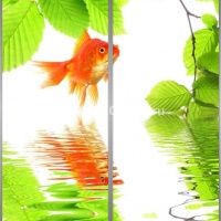 Фотопечать на шкаф купе цветы 400