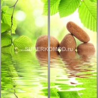 Фотопечать на шкаф купе цветы 402