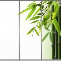 Фотопечать на шкаф купе цветы 409