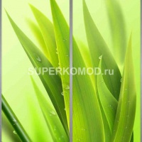 Фотопечать на шкаф купе цветы 410