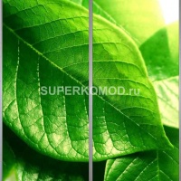 Фотопечать на шкаф купе цветы 412