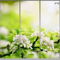Фотопечать на шкаф купе цветы 418