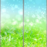 Фотопечать на шкаф купе цветы 424