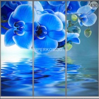 Фотопечать на шкаф купе цветы 430