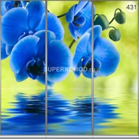 Фотопечать на шкаф купе цветы 431