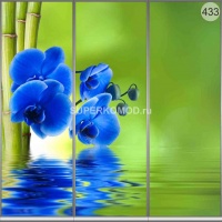 Фотопечать на шкаф купе цветы 433