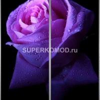 Фотопечать на шкаф купе цветы 445