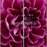 Фотопечать на шкаф купе цветы 453