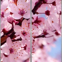 Фотопечать на шкаф купе цветы 454