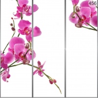 Фотопечать на шкаф купе цветы 456