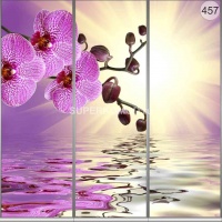 Фотопечать на шкаф купе цветы 457