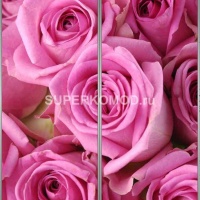 Фотопечать на шкаф купе цветы 459