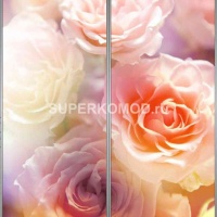 Фотопечать на шкаф купе цветы 460