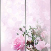 Фотопечать на шкаф купе цветы 461