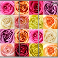 Фотопечать на шкаф купе цветы 464