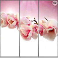 Фотопечать на шкаф купе цветы 466