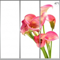 Фотопечать на шкаф купе цветы 471
