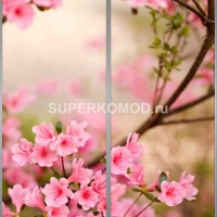 Фотопечать на шкаф купе цветы 477