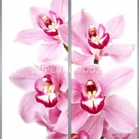 Фотопечать на шкаф купе цветы 481