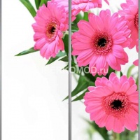 Фотопечать на шкаф купе цветы 482