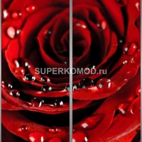 Фотопечать на шкаф купе цветы 486