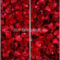 Фотопечать на шкаф купе цветы 488