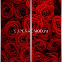 Фотопечать на шкаф купе цветы 489