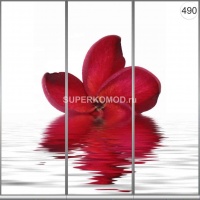 Фотопечать на шкаф купе цветы 490