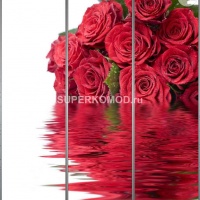 Фотопечать на шкаф купе цветы 492