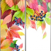 Фотопечать на шкаф купе цветы 493