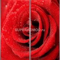 Фотопечать на шкаф купе цветы 495