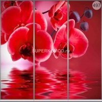 Фотопечать на шкаф купе цветы 497