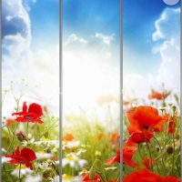 Фотопечать на шкаф купе цветы 498