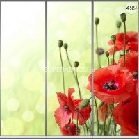 Фотопечать на шкаф купе цветы 499