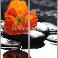 Фотопечать на шкаф купе спа 500